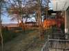 Serengeti Sopa Lodge - Location